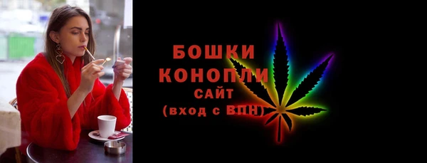 шишки Богородск