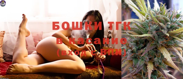 шишки Богородск